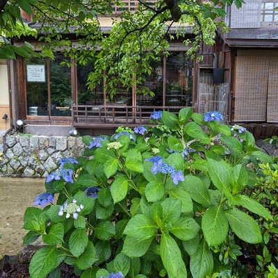 白川筋013.jpg