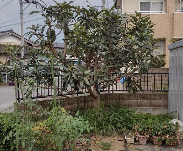 IMG_20220703_132525692_HDR.jpg