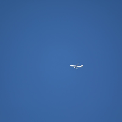 JAL_.JPG