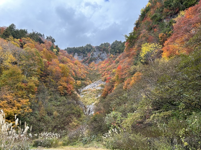 バイクツーリング 紅葉を求めて檜枝岐・秋山郷 | 掲示板 | マイネ王
