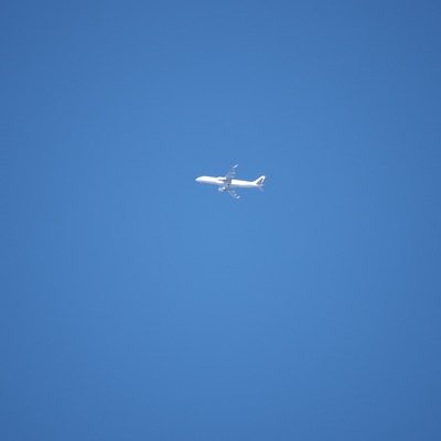 jal.jpg