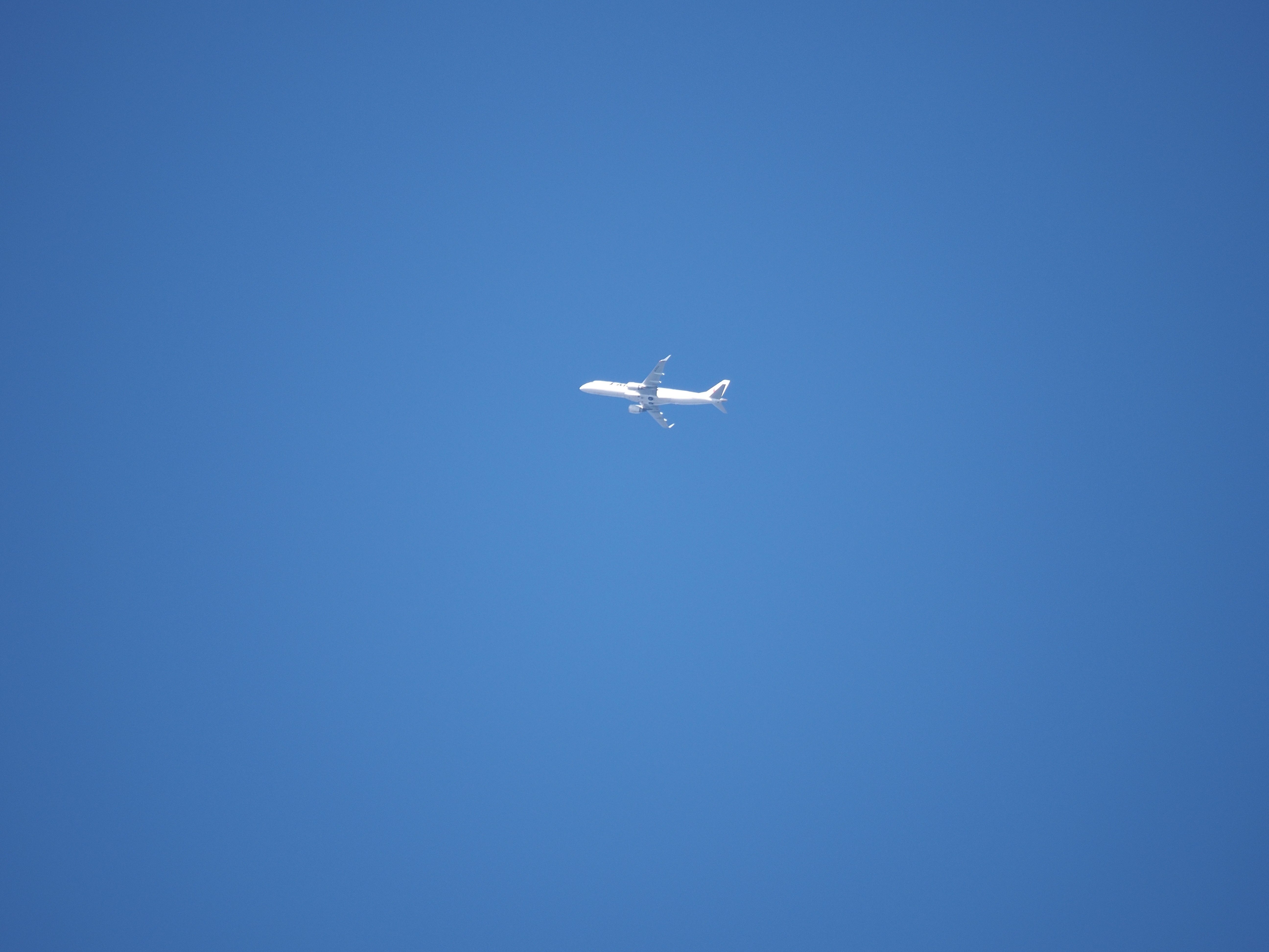 jal.jpg