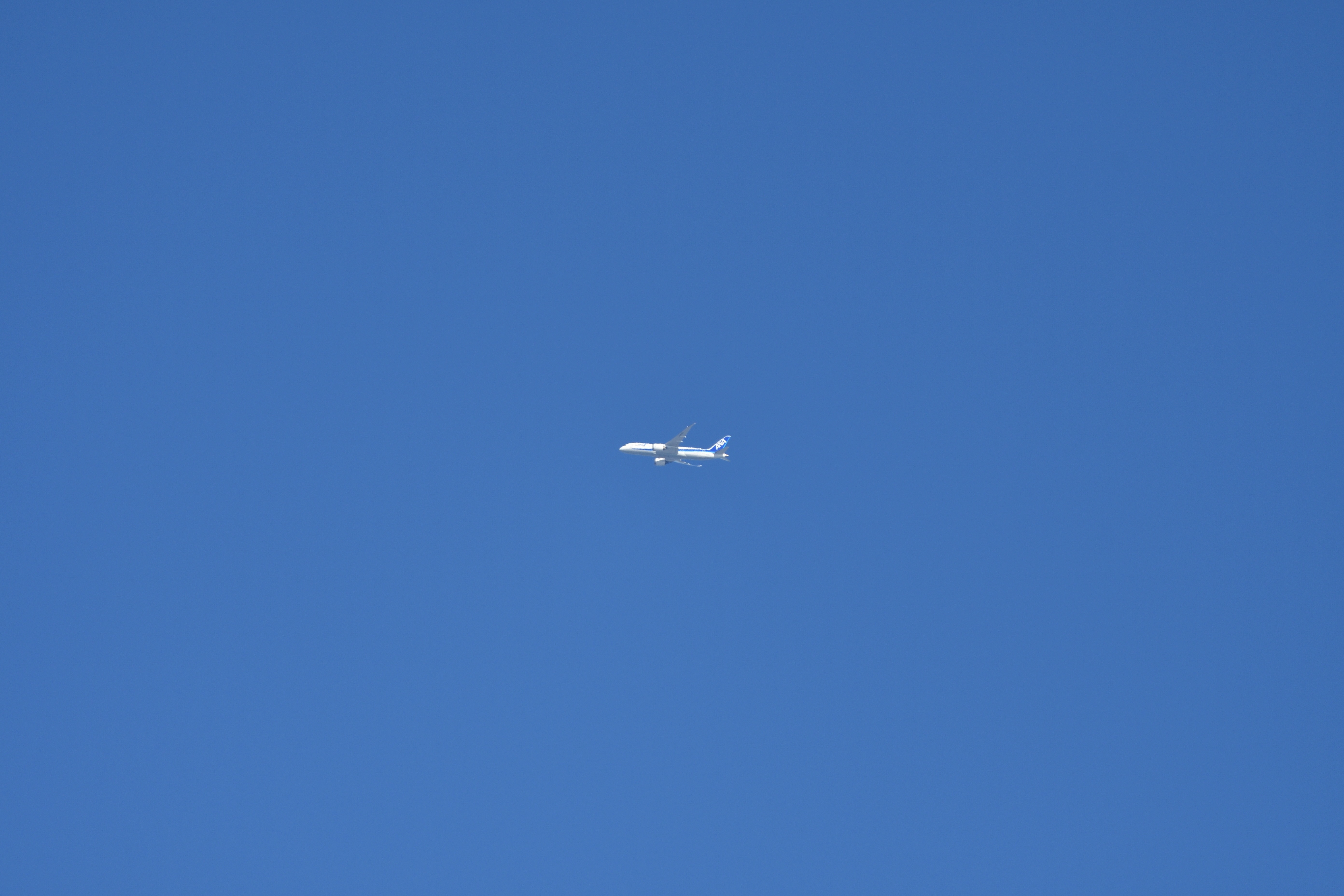 飛行機__01.JPG
