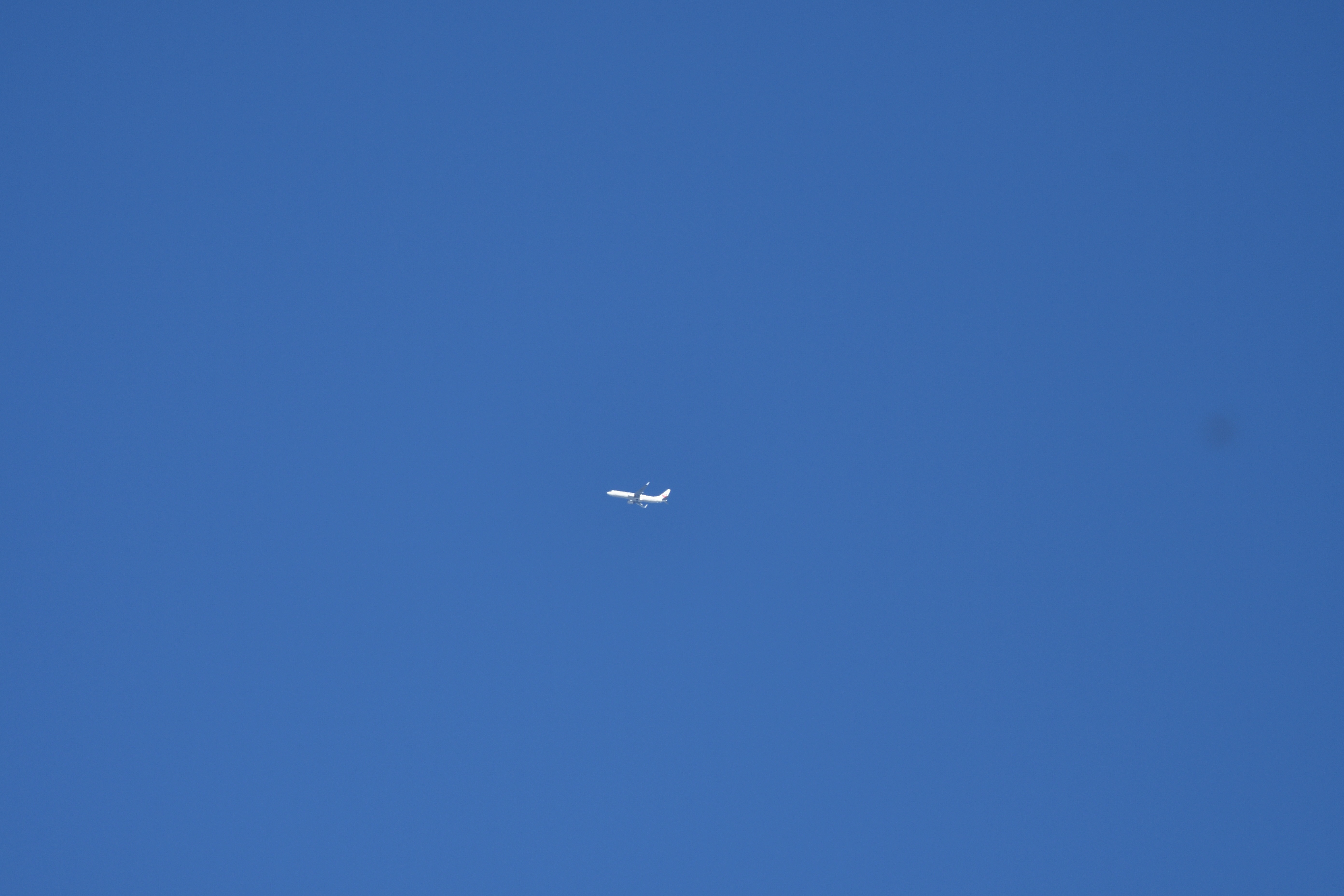 飛行機__02.JPG