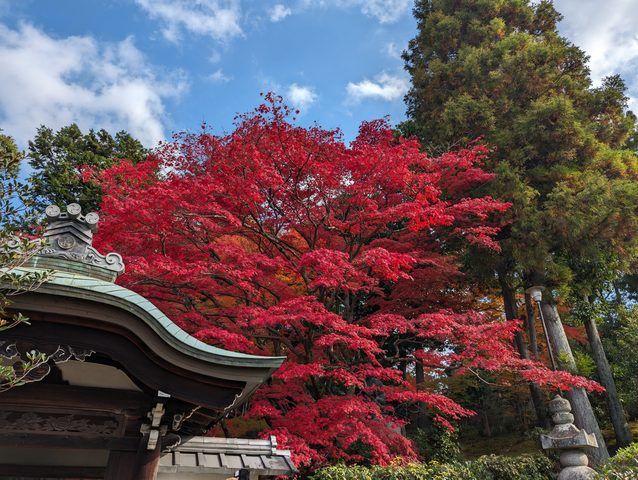 栄摂院002.jpg