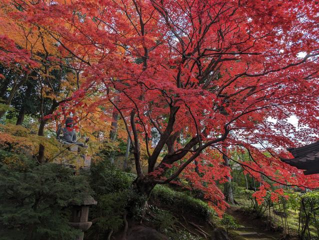 栄摂院004.jpg