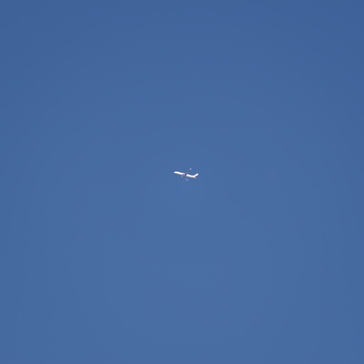 jal.jpg