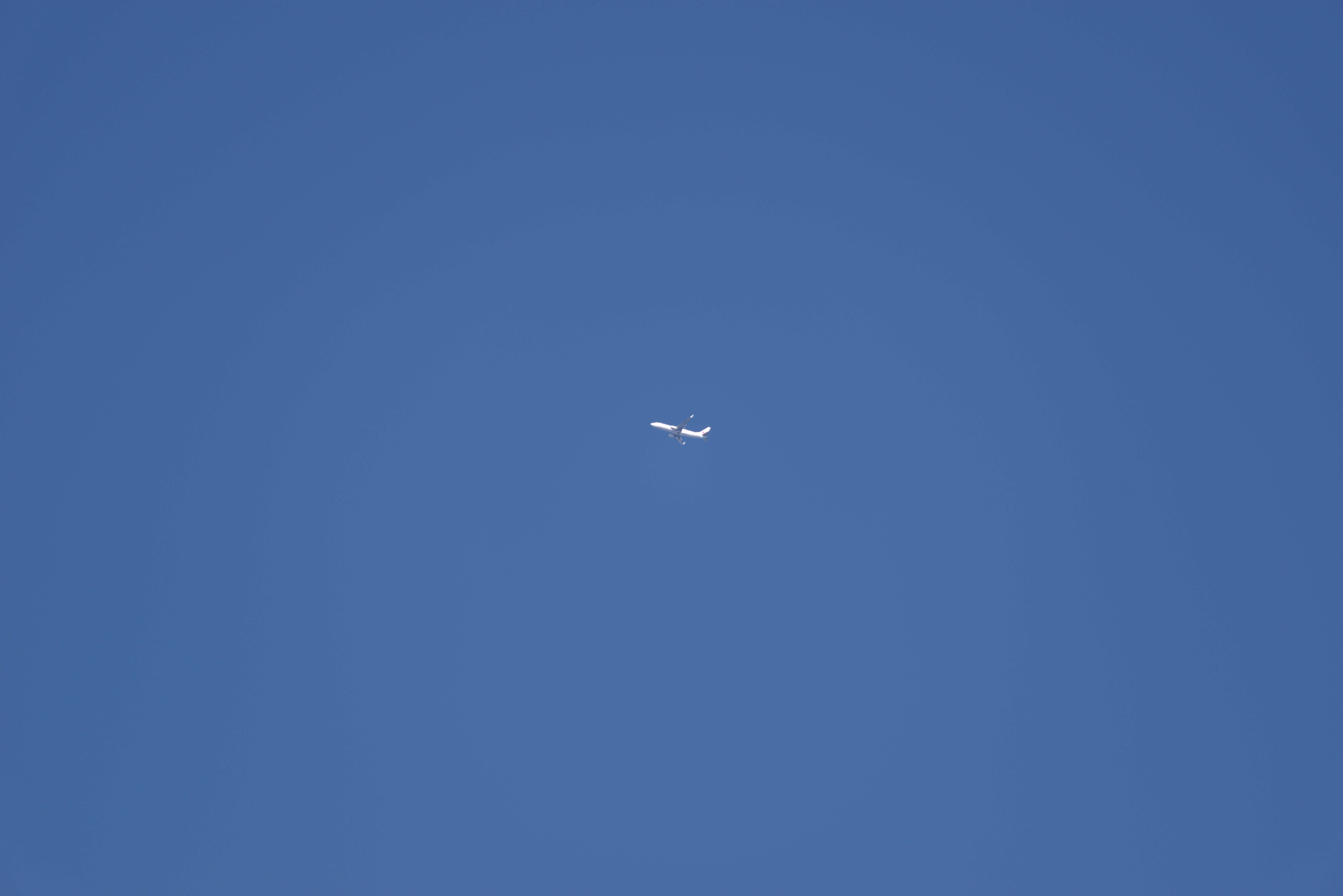 jal.jpg