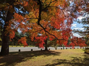 京都御苑019.jpg