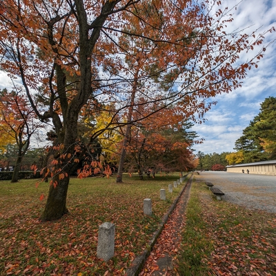 京都御苑005.jpg