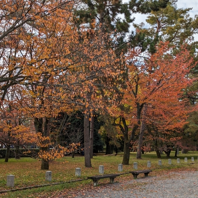 京都御苑003.jpg