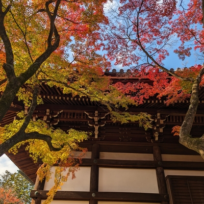 真如堂012.jpg