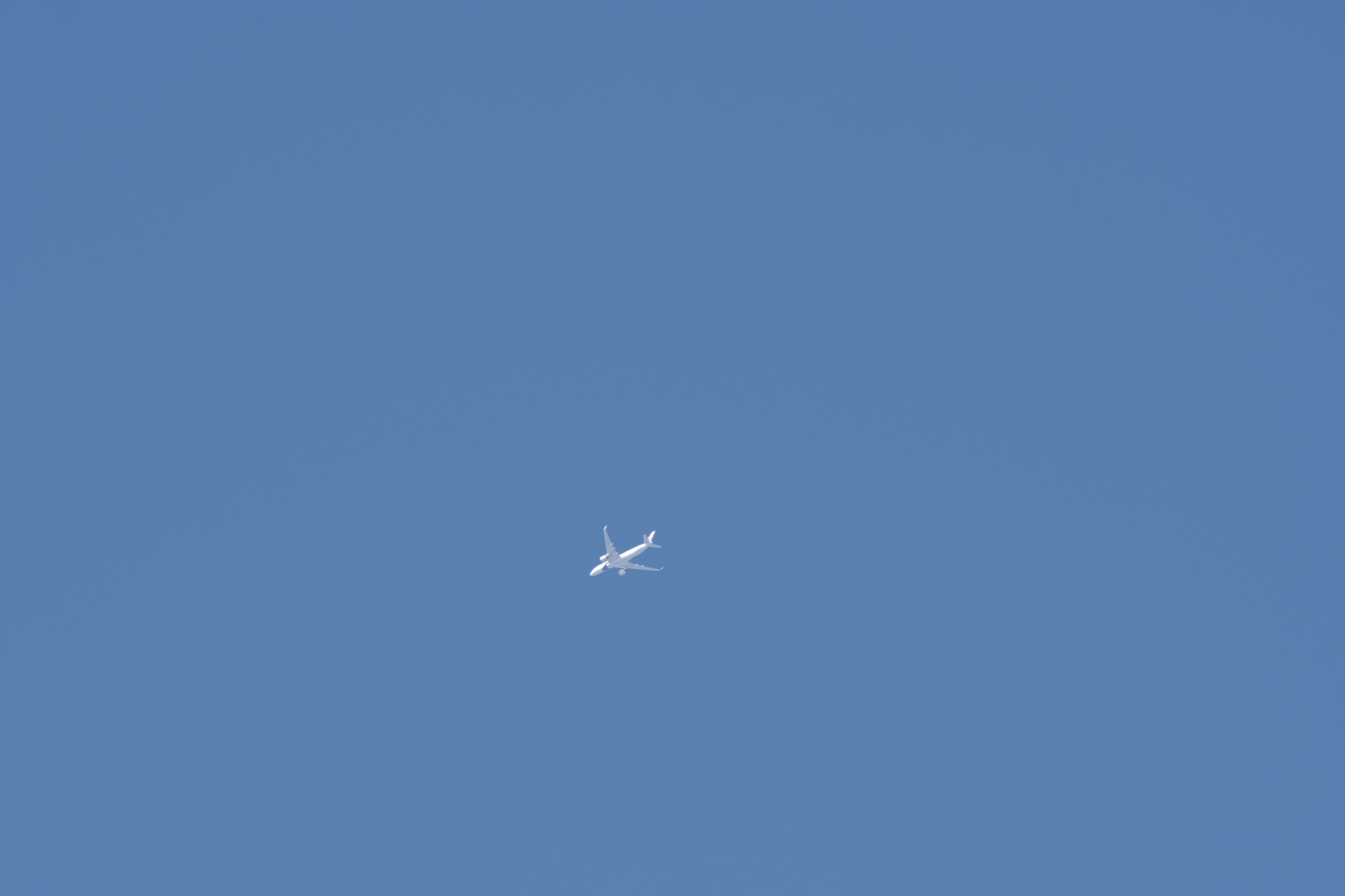 jal.jpg