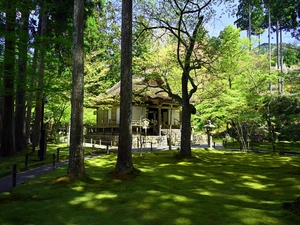 三千院001.jpg