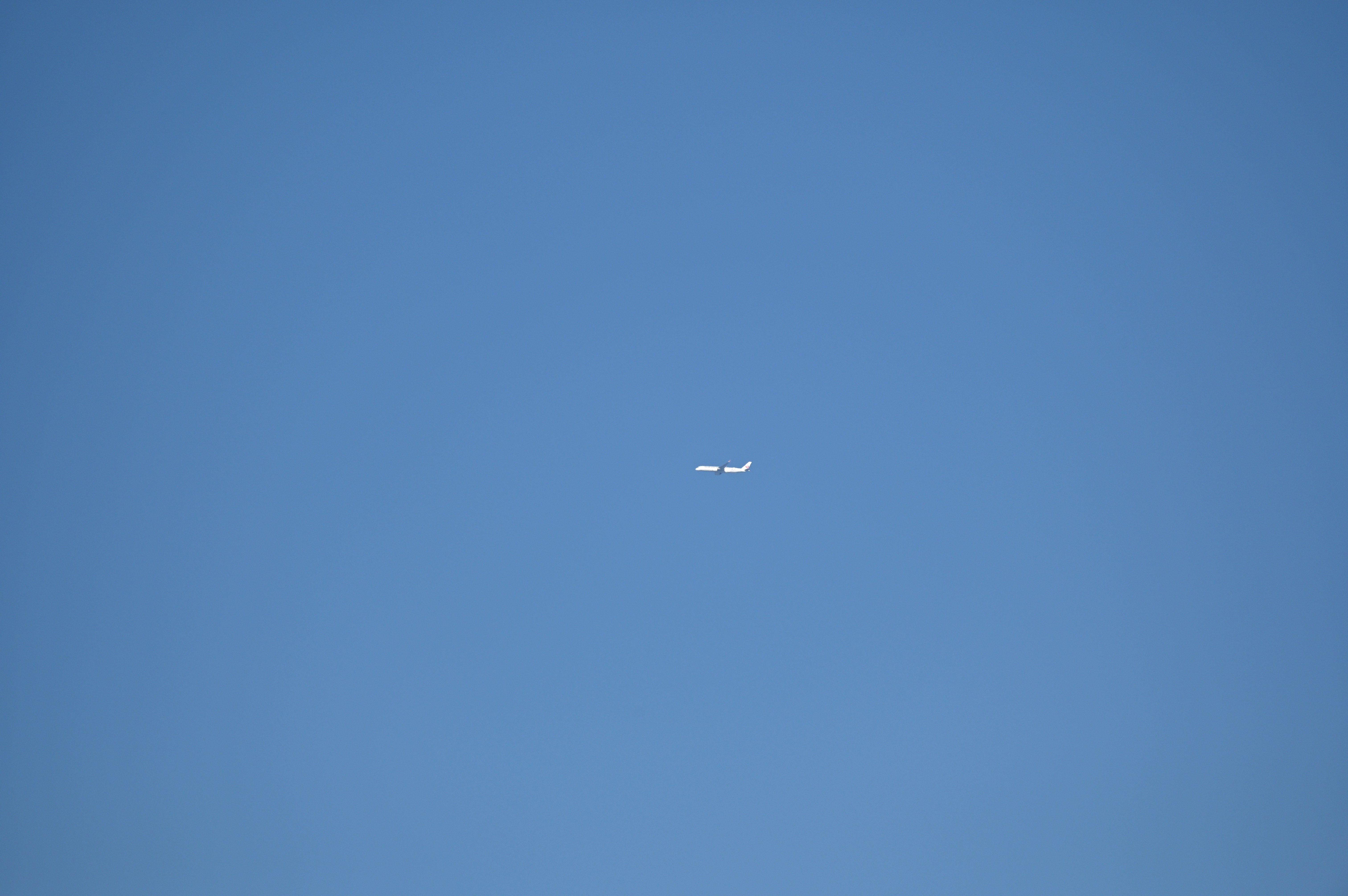 jal_.JPG
