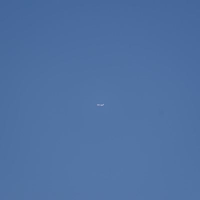 jal.jpg