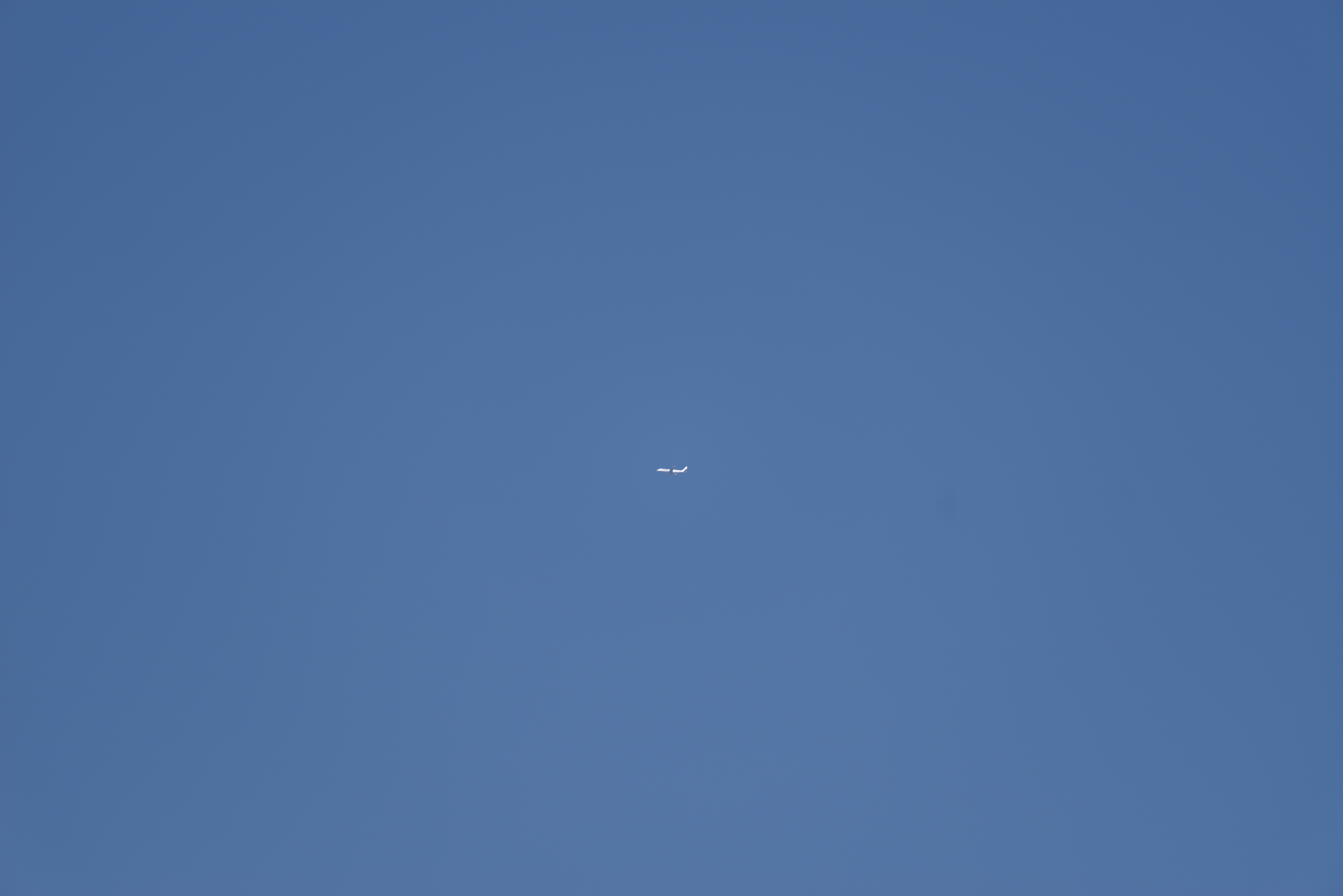 jal.jpg