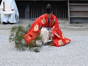 令和6年蹴鞠はじめ004.JPG