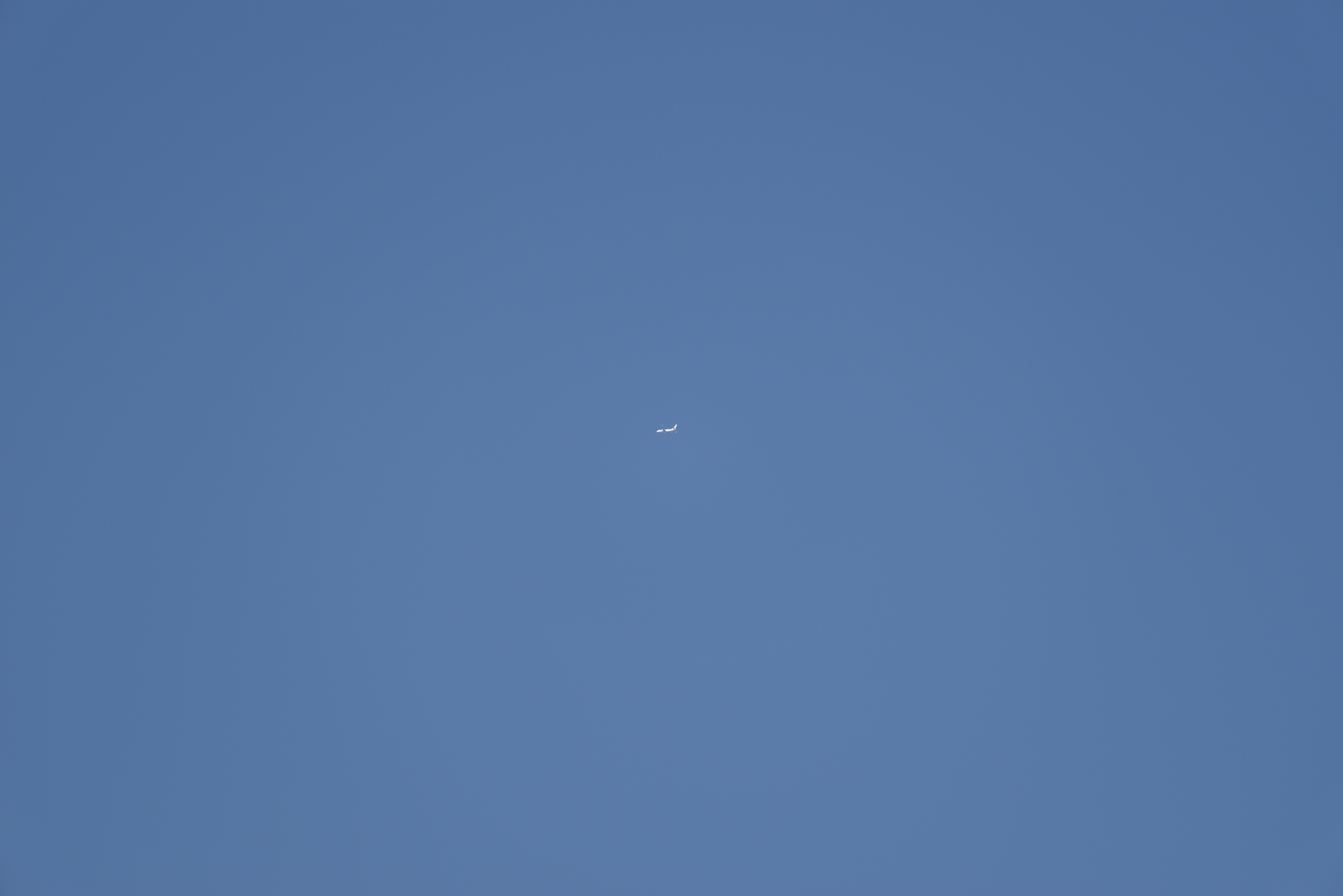 jal.jpg