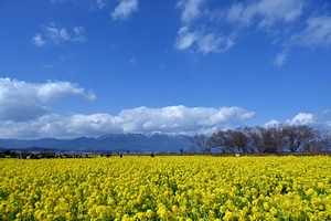 第一なぎさ公園7.jpg