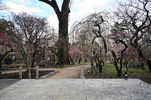 北野天満宮016.jpg