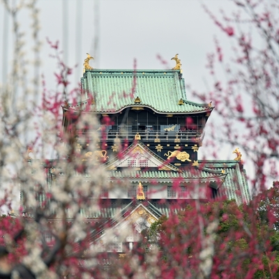 大阪城梅林005.jpg