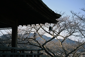 三井寺012.jpg