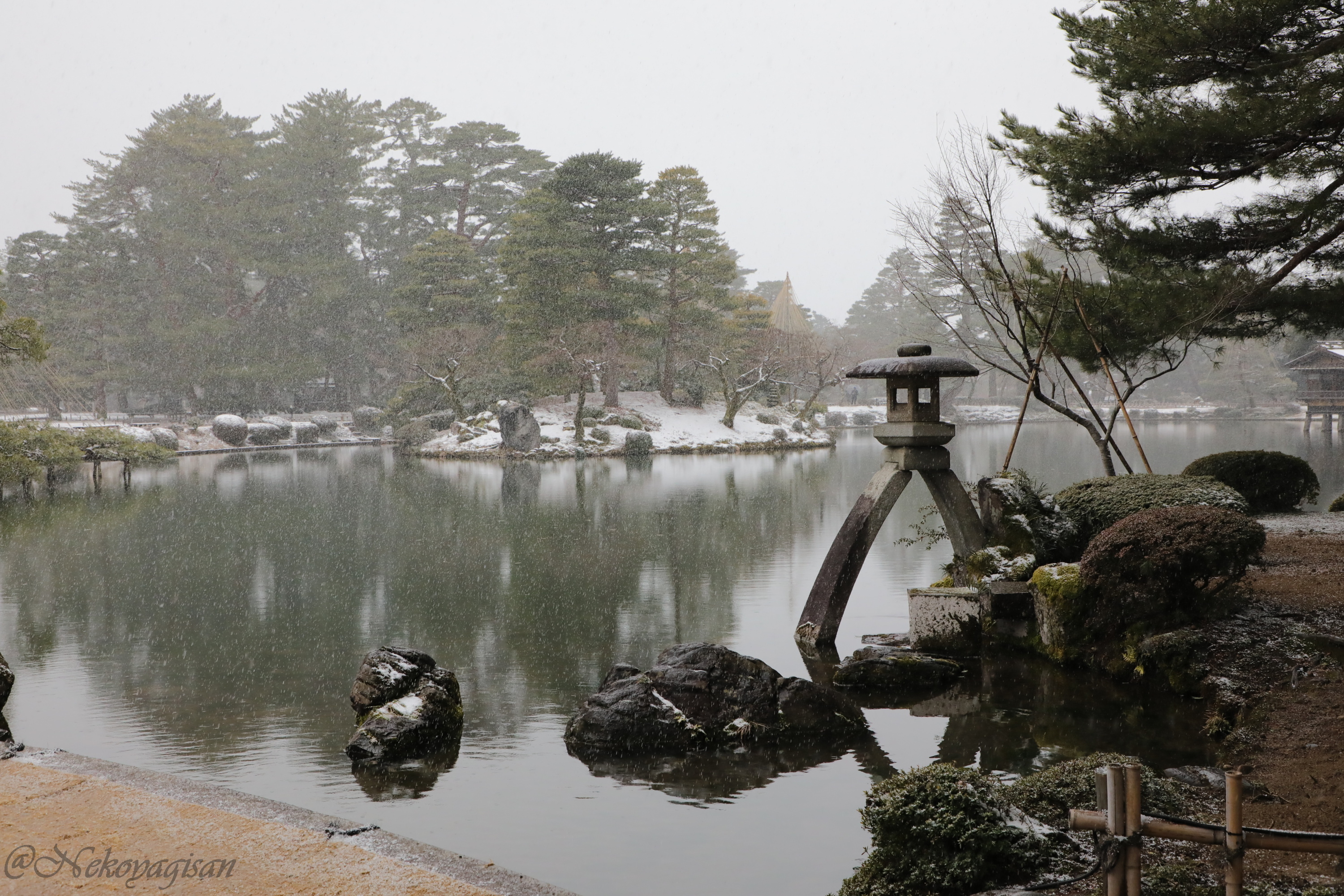 240302_kenrokuen.JPG