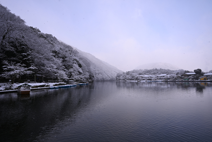 DSC_5010雪の嵐山_067.jpg