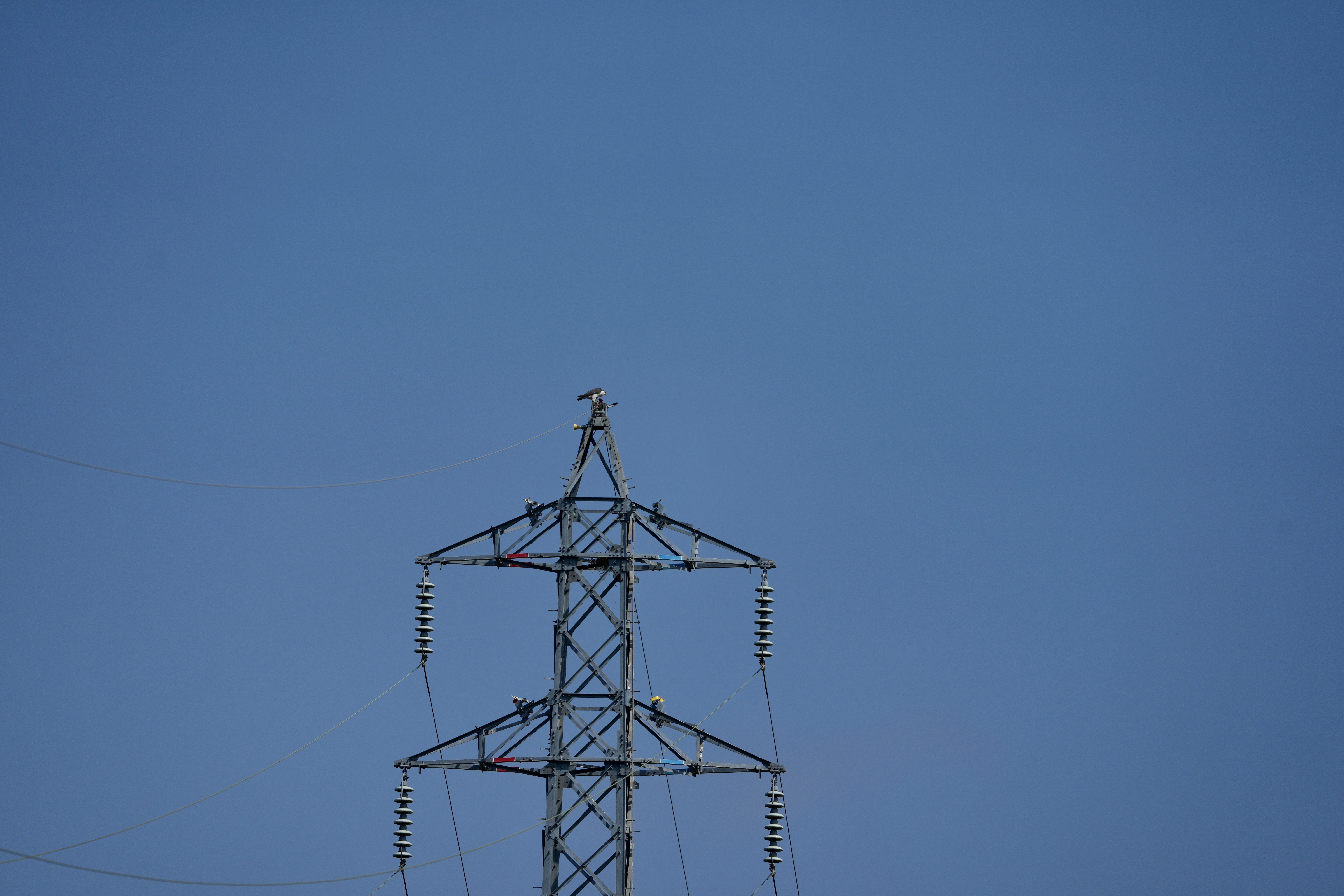 DSC05565.jpeg