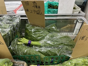 IMG_3886.jpeg