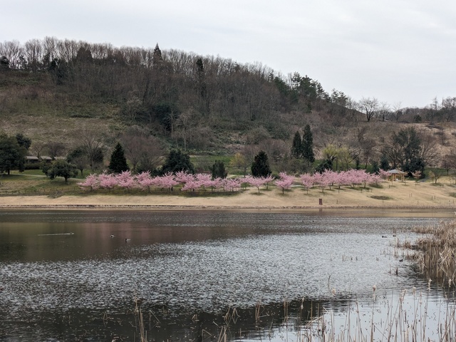 PXL_20240403_033032778.jpg