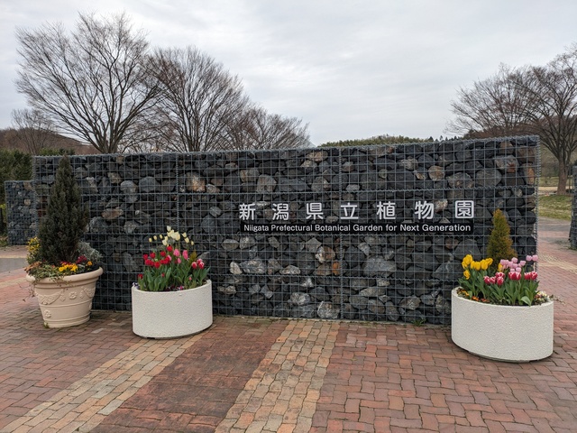 PXL_20240403_035458437.jpg
