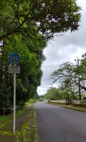 県道５１７号.JPG