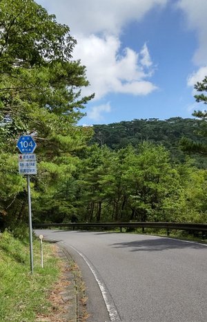 県道１０４号.jpg