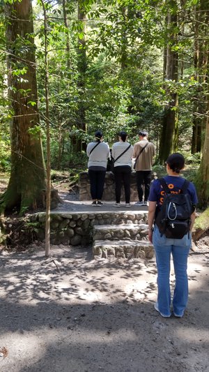 1霧島神宮山神社.jpg