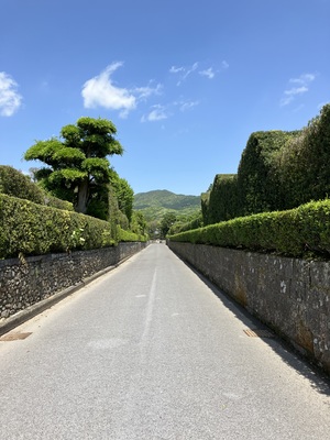 IMG_0288.jpeg