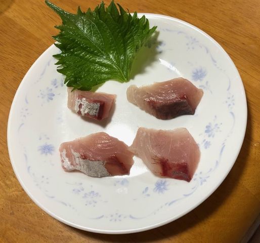 IMG_3373fish.jpg