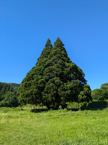 PXL_20240619_061721362.jpg