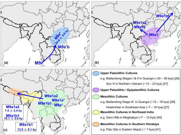 The-putative-migratory-routes-of-M9ab-and-the-distribution-of-the-potentially-associated.png