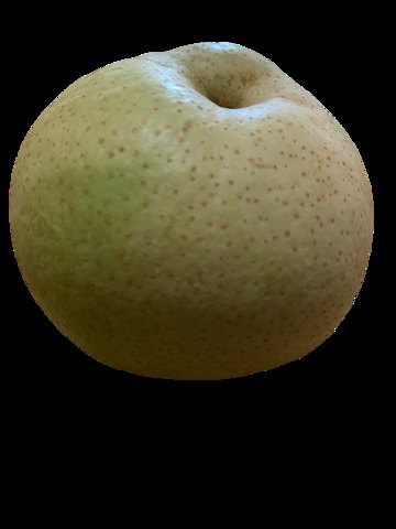 IMG_8676.png