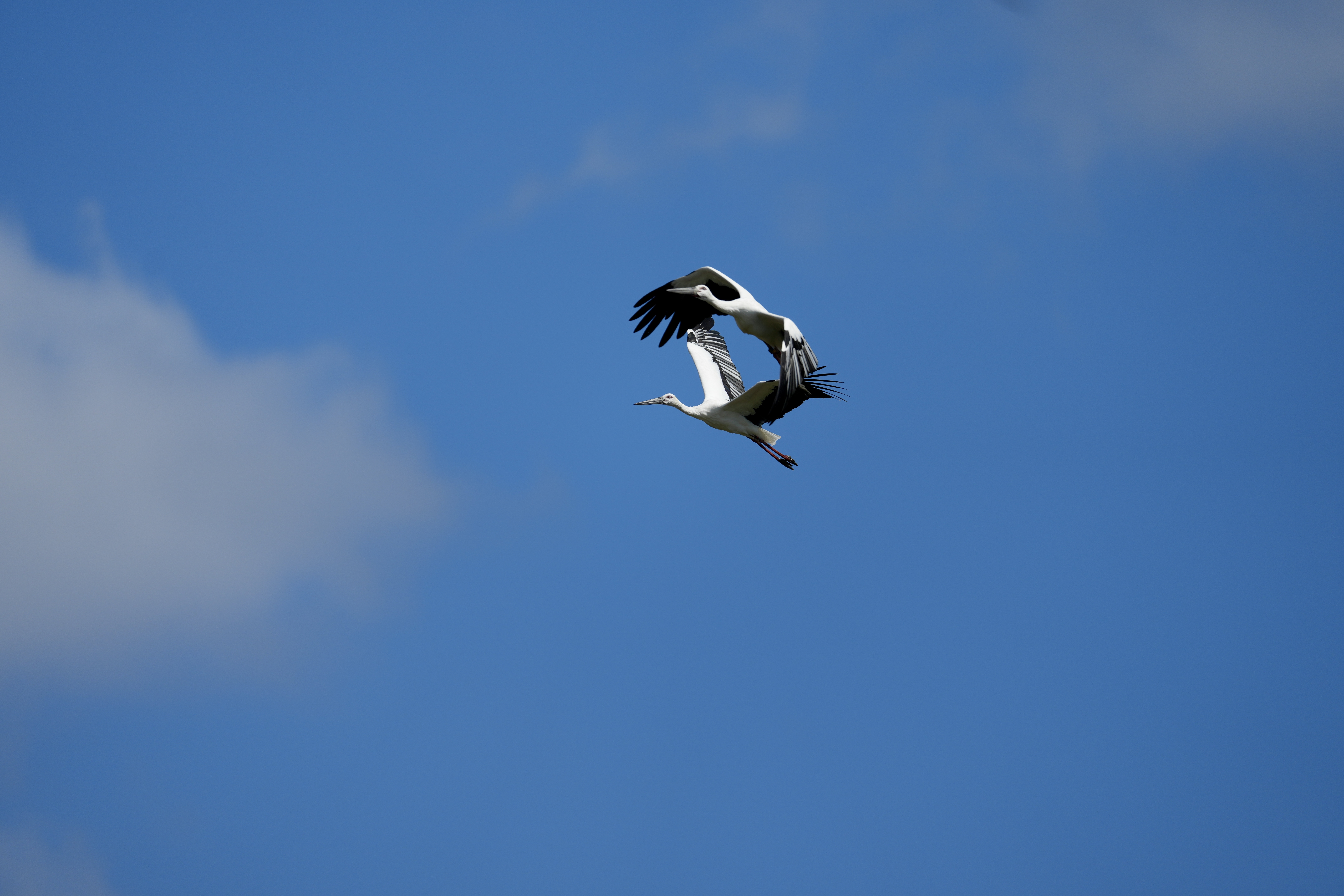 DSC09275.jpeg