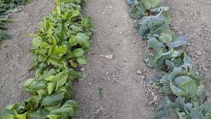 PXL_20241219_214507814.MP.jpg