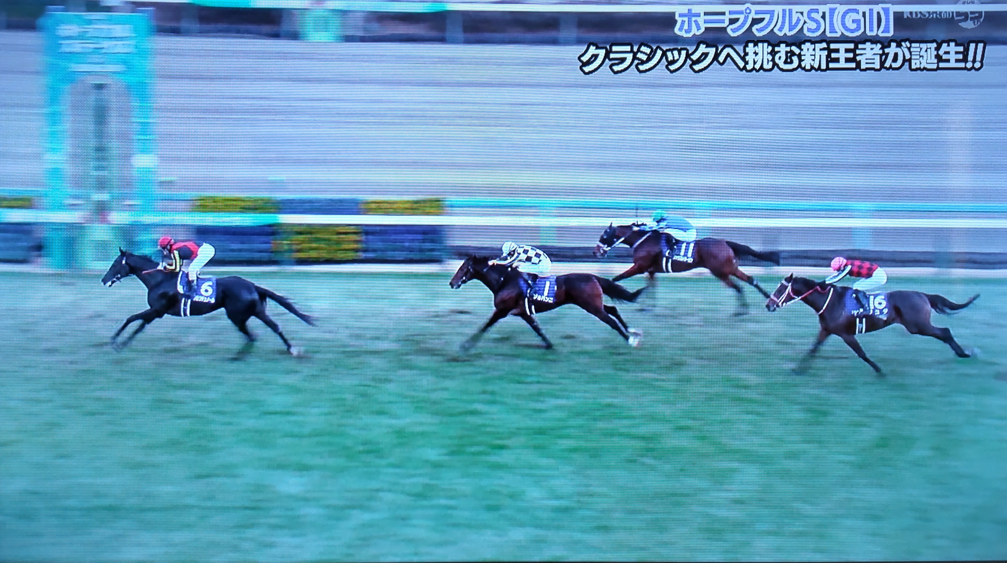 🐴クラシックへ！3連勝！【第41回ホープフルS】結果👑2024年