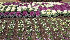 IMG_20221227_111837_812_3.jpg
