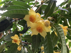 IMG_0002.jpeg