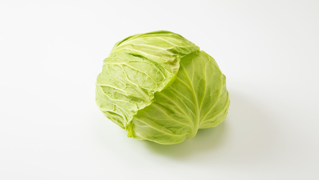 img_cabbage_main.jpg