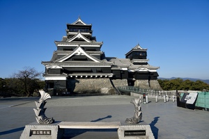 IMG_7428.jpeg