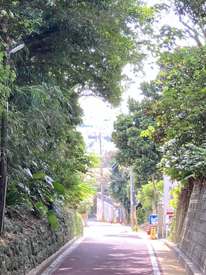 IMG_7780.png