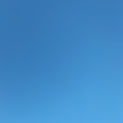 20250205_084425116.jpg